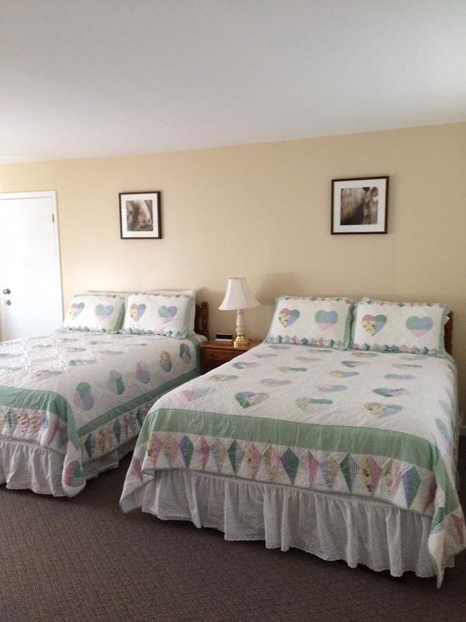 Aerie Inn Of Vermont East Dorset Extérieur photo
