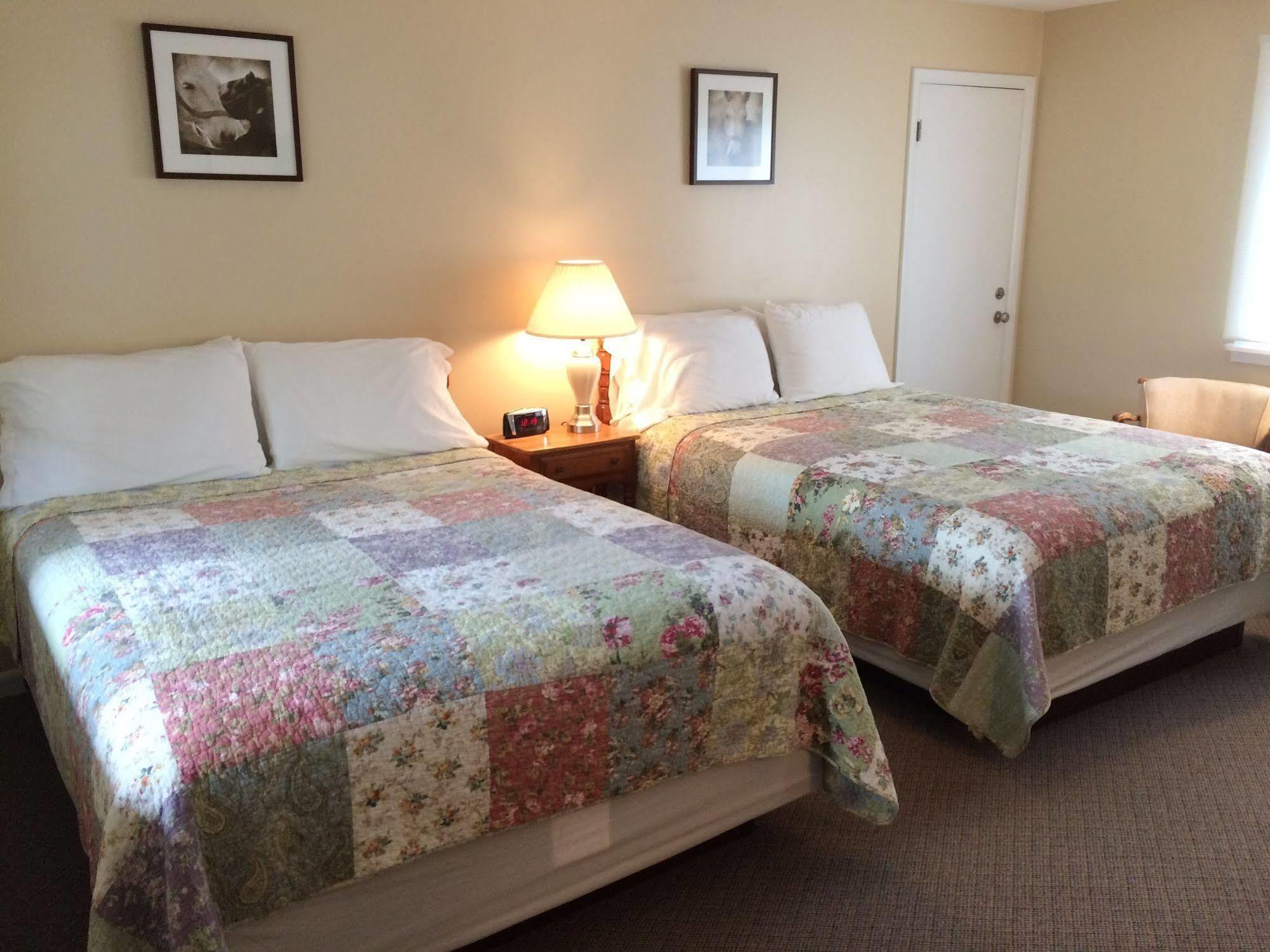Aerie Inn Of Vermont East Dorset Extérieur photo